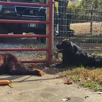 processed/793dd543-f316-42a8-8d9c-38cf6f2394da/facility/dc885802-5193-4acb-8b9b-bebe9369a009