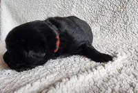 processed/793dd543-f316-42a8-8d9c-38cf6f2394da/listing/f4d9202f-68de-4147-b5fa-43f026e68d8c/41128140-6868-4cf8-a60a-31efc4da287d