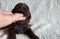 processed/793dd543-f316-42a8-8d9c-38cf6f2394da/listing/f7f627ba-7e3c-4a35-aa95-3d4066616a37/c493c7f2-6f76-4edd-8855-51d89919ca24