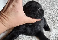 processed/793dd543-f316-42a8-8d9c-38cf6f2394da/listing/fee70bb0-cea6-4a4b-a40d-afef875b69e5/d2abad5b-5380-4d50-a13b-18b564b791ce