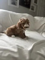 processed/79444e81-23be-45ed-ac5f-31a6ec22ba7b/listing/ab474420-5063-4fe5-ad1b-f87dc75fed73/6f3c05ce-78ff-440c-b0ed-ff82d6cf143f