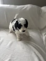 processed/79444e81-23be-45ed-ac5f-31a6ec22ba7b/listing/b9a9232b-b34a-4896-8ad9-bae297015e56/9ed2b68f-34dd-4531-b04b-7bdd967c45b7