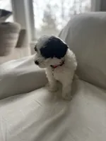 processed/79444e81-23be-45ed-ac5f-31a6ec22ba7b/listing/b9a9232b-b34a-4896-8ad9-bae297015e56/a55be060-f3f5-4a4a-bec4-b801d46b7470