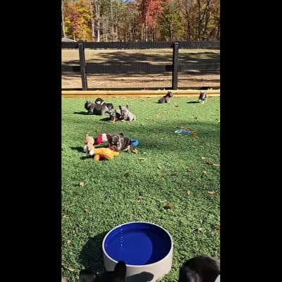 Facility video