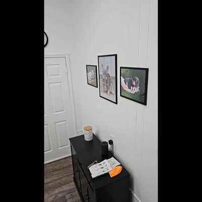 Facility video