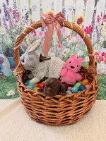  Belle, a female Labrador Retriever for sale in Del Aire, CA – Photo 1 of 3