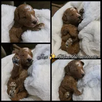 processed/794cff85-08d6-4aae-92fd-0d04e5daeb29/listing/3113a8c1-1e00-4f0f-91a9-e1864fe8f169/335aa38f-4457-411a-b232-715c5a3e7e16