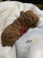 processed/794cff85-08d6-4aae-92fd-0d04e5daeb29/listing/3113a8c1-1e00-4f0f-91a9-e1864fe8f169/37a21ba8-8919-4675-ae56-24b904d85bc4