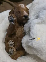 processed/794cff85-08d6-4aae-92fd-0d04e5daeb29/listing/3113a8c1-1e00-4f0f-91a9-e1864fe8f169/b4eb23c8-cee4-4855-b8f3-3c9ed358b1cc