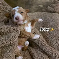 processed/794cff85-08d6-4aae-92fd-0d04e5daeb29/listing/5d78b833-af0e-4e6a-b8e5-59108c0fc7b5/370d474b-44fb-42e2-9a6e-210d85f4981f