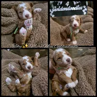 processed/794cff85-08d6-4aae-92fd-0d04e5daeb29/listing/5d78b833-af0e-4e6a-b8e5-59108c0fc7b5/51ed95da-d0a7-408e-a7d6-f00aa0c22a02