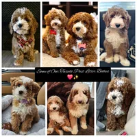 processed/794cff85-08d6-4aae-92fd-0d04e5daeb29/listing/5d78b833-af0e-4e6a-b8e5-59108c0fc7b5/65fffcbc-857d-41a6-8ba2-3c72f397e0b6