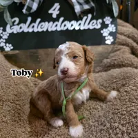 processed/794cff85-08d6-4aae-92fd-0d04e5daeb29/listing/5d78b833-af0e-4e6a-b8e5-59108c0fc7b5/b347f815-ac40-475b-8a38-ec669e5b9a86