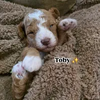 processed/794cff85-08d6-4aae-92fd-0d04e5daeb29/listing/5d78b833-af0e-4e6a-b8e5-59108c0fc7b5/e30ab0ce-6bc4-4152-982a-496b322eaf8e