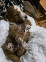 processed/794cff85-08d6-4aae-92fd-0d04e5daeb29/listing/8ef18a05-ceda-4b29-8d19-702fe4782f3f/119cb980-808e-4232-8481-e834ec8b36cd