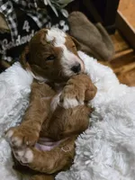 processed/794cff85-08d6-4aae-92fd-0d04e5daeb29/listing/8ef18a05-ceda-4b29-8d19-702fe4782f3f/400e3f5c-67e5-4efc-9f6b-dcc3cd1a042f