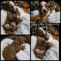 processed/794cff85-08d6-4aae-92fd-0d04e5daeb29/listing/8ef18a05-ceda-4b29-8d19-702fe4782f3f/626ae437-8660-4759-bbd5-de9752ea605f