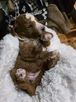 processed/794cff85-08d6-4aae-92fd-0d04e5daeb29/listing/8ef18a05-ceda-4b29-8d19-702fe4782f3f/a381209c-4d3f-4480-819f-eab3a4f92a39