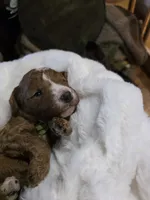 processed/794cff85-08d6-4aae-92fd-0d04e5daeb29/listing/c65bb59e-c408-4812-bda9-e6dd2dc2868e/389502e0-8015-4745-8df7-a8b93f9f3a9a