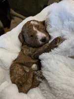 processed/794cff85-08d6-4aae-92fd-0d04e5daeb29/listing/c65bb59e-c408-4812-bda9-e6dd2dc2868e/fcd7c85c-ac0d-4e6b-b465-6b3f53f83583