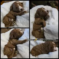 processed/794cff85-08d6-4aae-92fd-0d04e5daeb29/listing/c65bb59e-c408-4812-bda9-e6dd2dc2868e/fdafe8e0-be06-4418-8cd1-02e5d3a29dec