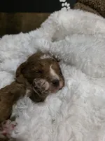 processed/794cff85-08d6-4aae-92fd-0d04e5daeb29/listing/d378babb-e6e8-4050-8dd0-dd5d74b17630/1960d510-db8b-4ce5-ac6c-6f261d7af787