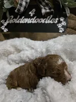 processed/794cff85-08d6-4aae-92fd-0d04e5daeb29/listing/d378babb-e6e8-4050-8dd0-dd5d74b17630/1a5b4a0b-c302-4258-935d-29824df03a60