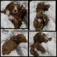 processed/794cff85-08d6-4aae-92fd-0d04e5daeb29/listing/d378babb-e6e8-4050-8dd0-dd5d74b17630/4bfd9a0a-0006-45b3-ac06-ad7a8fea8d65