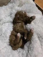 processed/794cff85-08d6-4aae-92fd-0d04e5daeb29/listing/d378babb-e6e8-4050-8dd0-dd5d74b17630/77ccaff8-6442-48a7-8a0c-7b6cc3a02779