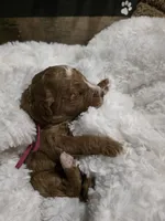 processed/794cff85-08d6-4aae-92fd-0d04e5daeb29/listing/d378babb-e6e8-4050-8dd0-dd5d74b17630/b530e0ce-5ec9-414c-8671-a78765bf5cfb