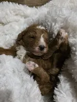 processed/794cff85-08d6-4aae-92fd-0d04e5daeb29/listing/d378babb-e6e8-4050-8dd0-dd5d74b17630/cb91ae9d-6648-46f0-b8a5-95768742033b