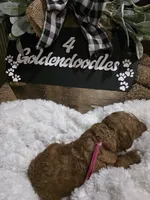 processed/794cff85-08d6-4aae-92fd-0d04e5daeb29/listing/d378babb-e6e8-4050-8dd0-dd5d74b17630/d2720a39-2b5e-45a8-a5e2-714cdd78e937