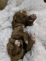 processed/794cff85-08d6-4aae-92fd-0d04e5daeb29/listing/d378babb-e6e8-4050-8dd0-dd5d74b17630/e52e34c6-0474-4e6e-b40f-5e7be4d3d01d