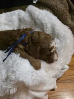 processed/794cff85-08d6-4aae-92fd-0d04e5daeb29/listing/d9b69fed-4b7c-4e78-9bd0-b5efdd656a64/4233cd20-d02c-4fb4-aa89-ec6cbdfc7ff8