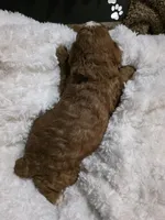 processed/794cff85-08d6-4aae-92fd-0d04e5daeb29/listing/d9b69fed-4b7c-4e78-9bd0-b5efdd656a64/b12d1b89-9407-4c98-ab45-f518704b7ab5