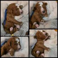 processed/794cff85-08d6-4aae-92fd-0d04e5daeb29/listing/d9b69fed-4b7c-4e78-9bd0-b5efdd656a64/b8cb119a-55c8-4861-817d-bb251f957ab5