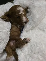 processed/794cff85-08d6-4aae-92fd-0d04e5daeb29/listing/d9b69fed-4b7c-4e78-9bd0-b5efdd656a64/ced170d9-25b1-4052-b792-50b222de7014