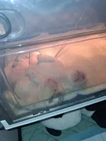 processed/7959192b-567a-41f7-be06-f5b3283ad991/facility/373df71a-a0a6-446c-92d8-31b7a151f101