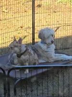 processed/7959192b-567a-41f7-be06-f5b3283ad991/facility/3817f104-58c1-40bb-83db-b30349ea54d5