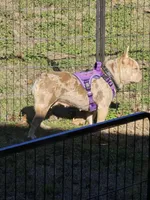 processed/7959192b-567a-41f7-be06-f5b3283ad991/facility/52184ef3-1b91-43a4-ad37-e5c31b36caf2