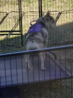 processed/7959192b-567a-41f7-be06-f5b3283ad991/facility/68fc8c4e-61db-4cc0-a885-aedb8d548b2f