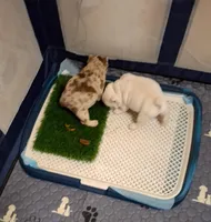 processed/7959192b-567a-41f7-be06-f5b3283ad991/facility/8a35c636-5327-4ee9-980f-513b2f329848