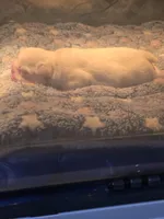 processed/7959192b-567a-41f7-be06-f5b3283ad991/facility/8e5ab766-0594-4d79-9c99-2302ea940729