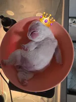 processed/7959192b-567a-41f7-be06-f5b3283ad991/facility/d2f20e9c-9f75-4a2a-b570-12e57e5f7023