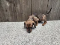 processed/7961d7b4-384b-425f-9d61-aeb40d56e998/listing/d0848a73-5c24-40e7-9264-3028939232bc/0a0efe8d-13d5-43c6-aebd-dacc1debbff7