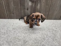 processed/7961d7b4-384b-425f-9d61-aeb40d56e998/listing/d0848a73-5c24-40e7-9264-3028939232bc/0e2cff14-b183-4f67-90e3-d313e2ffa3b3