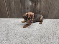 processed/7961d7b4-384b-425f-9d61-aeb40d56e998/listing/d0848a73-5c24-40e7-9264-3028939232bc/2067b1e6-c2cf-45e5-a866-9aa87cbe7d92