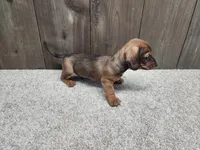 processed/7961d7b4-384b-425f-9d61-aeb40d56e998/listing/d0848a73-5c24-40e7-9264-3028939232bc/93a7ab53-0641-4777-b023-f32f85dd9b87