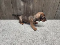 processed/7961d7b4-384b-425f-9d61-aeb40d56e998/listing/d0848a73-5c24-40e7-9264-3028939232bc/9fcdaa8e-8dd8-4ea9-aff8-79b7b15d2cc8