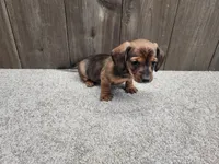 processed/7961d7b4-384b-425f-9d61-aeb40d56e998/listing/d0848a73-5c24-40e7-9264-3028939232bc/ccc65240-f0a8-48c4-a121-b9229c075786